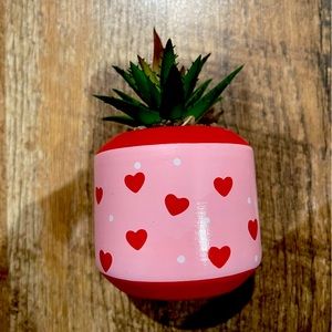 Mini valentines plant